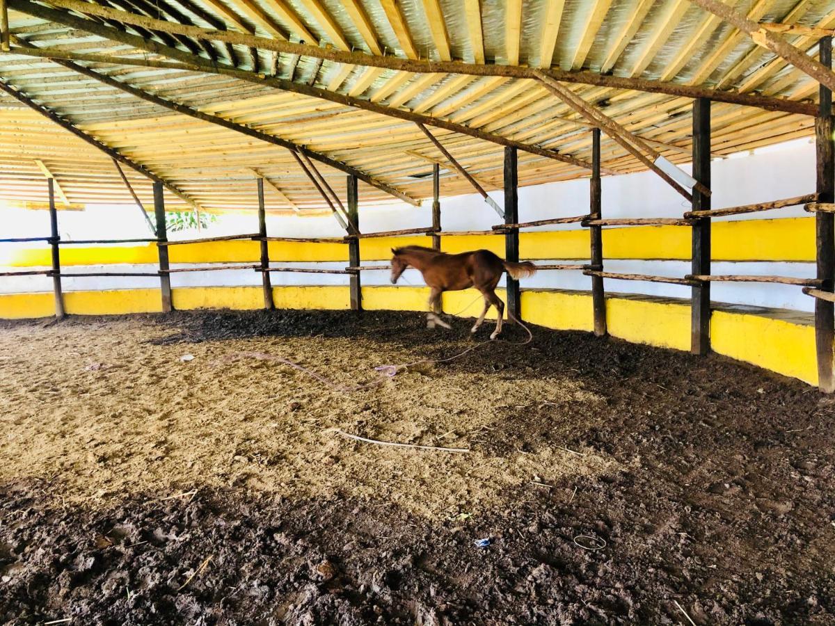 Cabanas El Pajar Zacatlan Ngoại thất bức ảnh