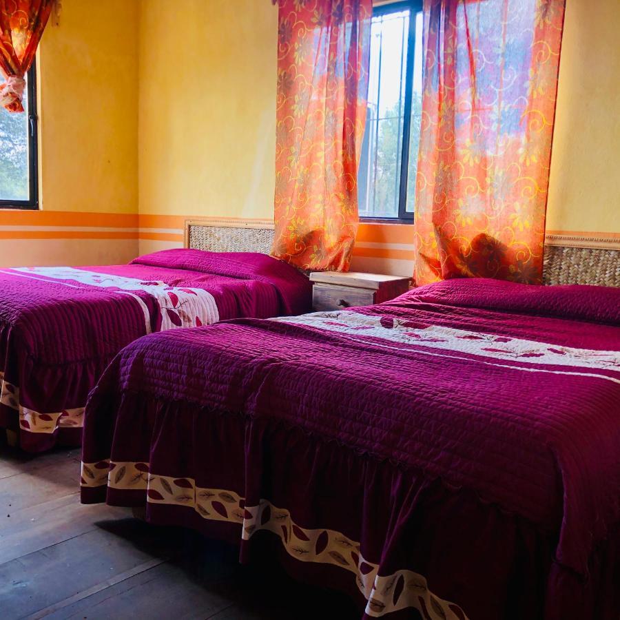 Cabanas El Pajar Zacatlan Ngoại thất bức ảnh