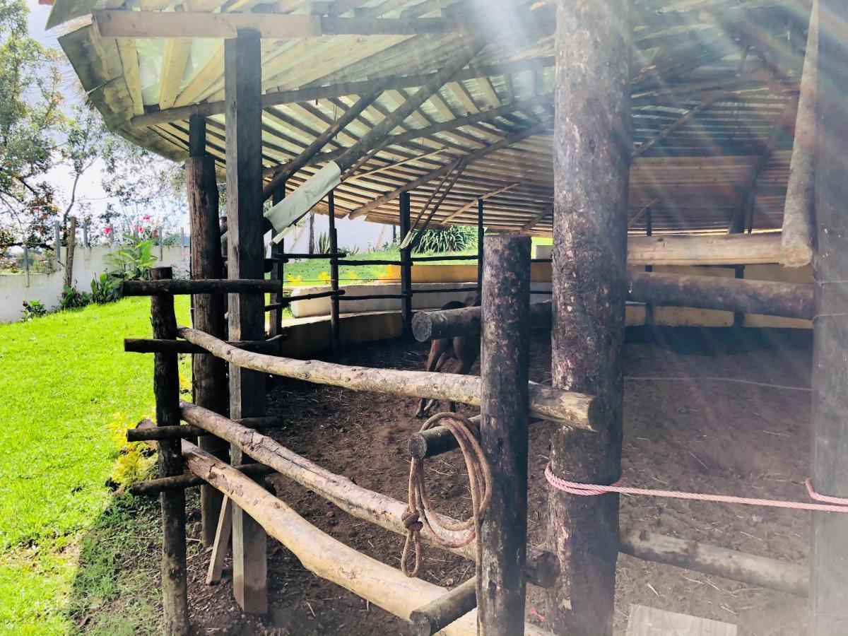 Cabanas El Pajar Zacatlan Ngoại thất bức ảnh